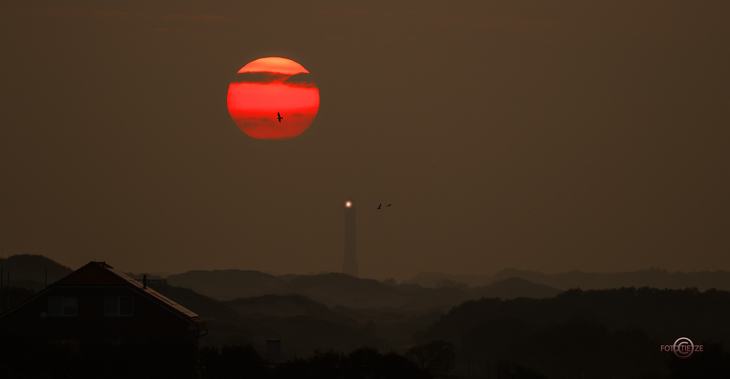 Natur- und Wildtierfotografie