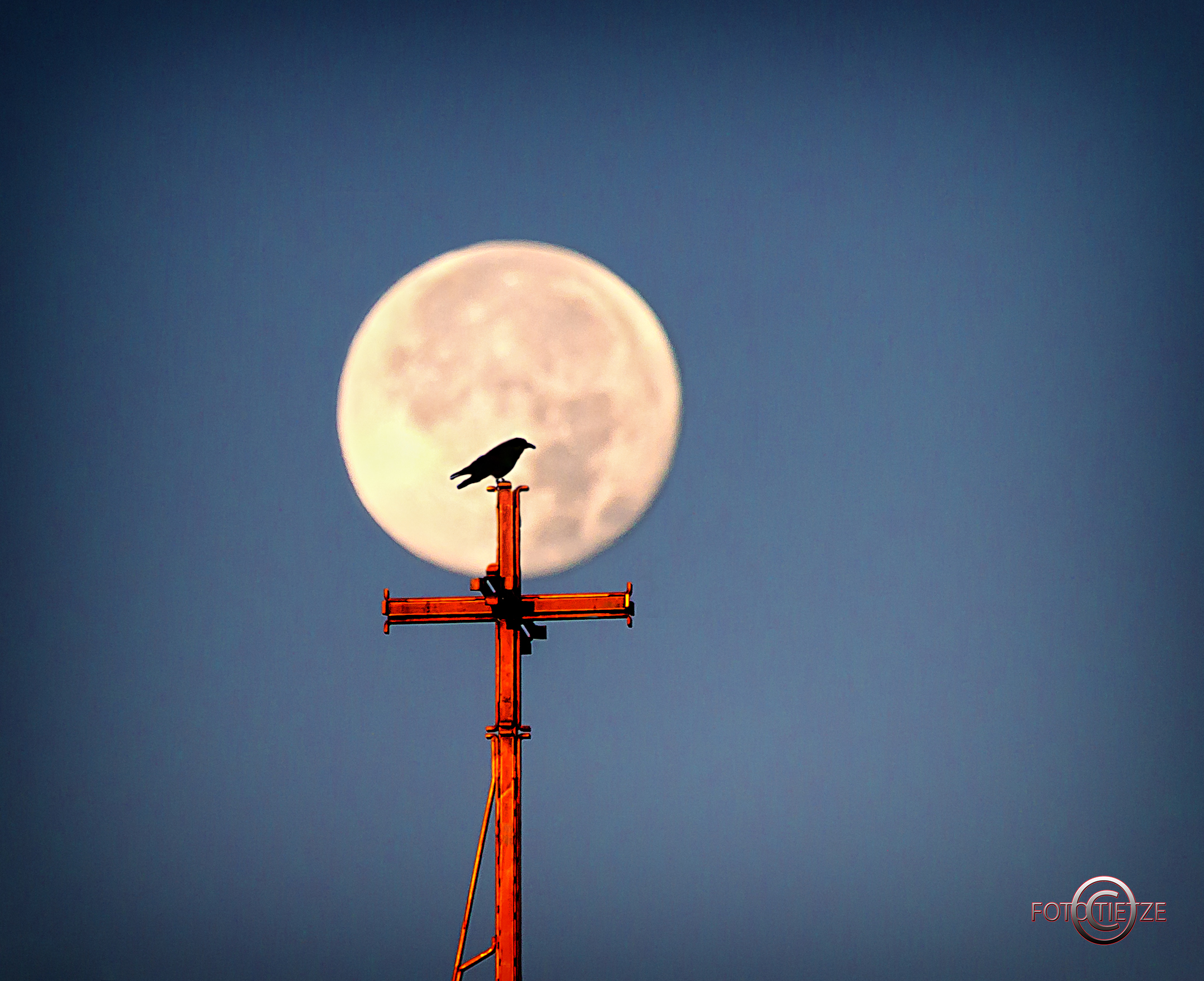 Natur- und Wildtierfotografie