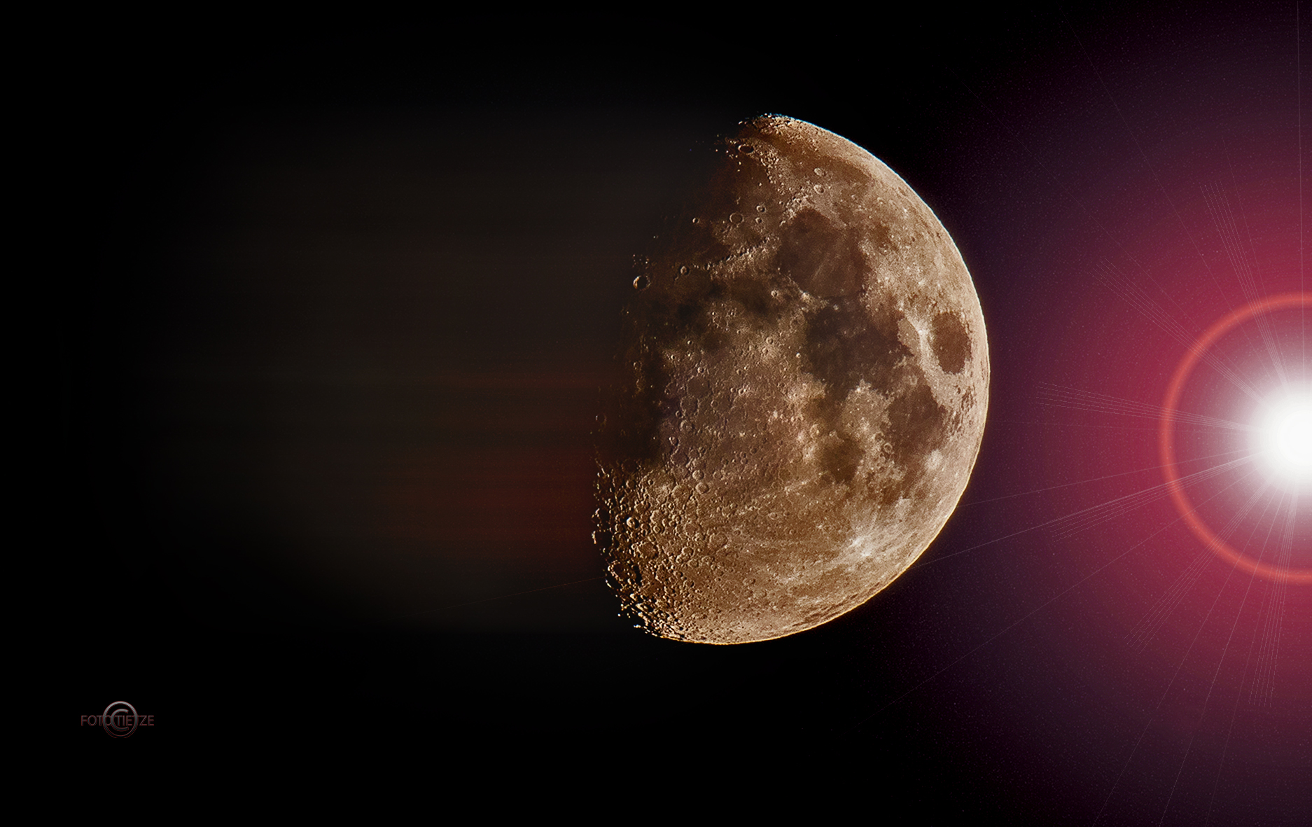 Natur- und Wildtierfotografie