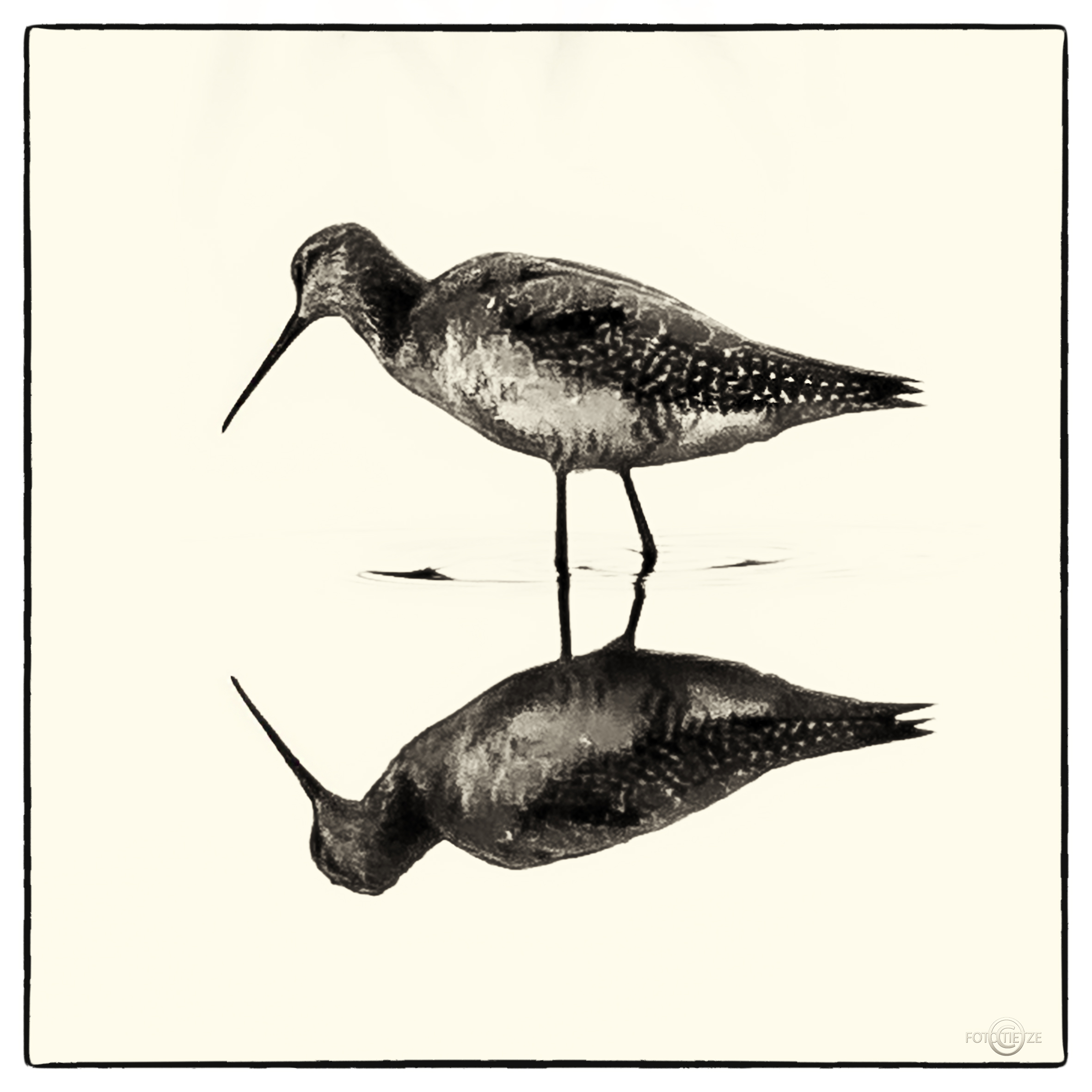 Natur- und Wildtierfotografie